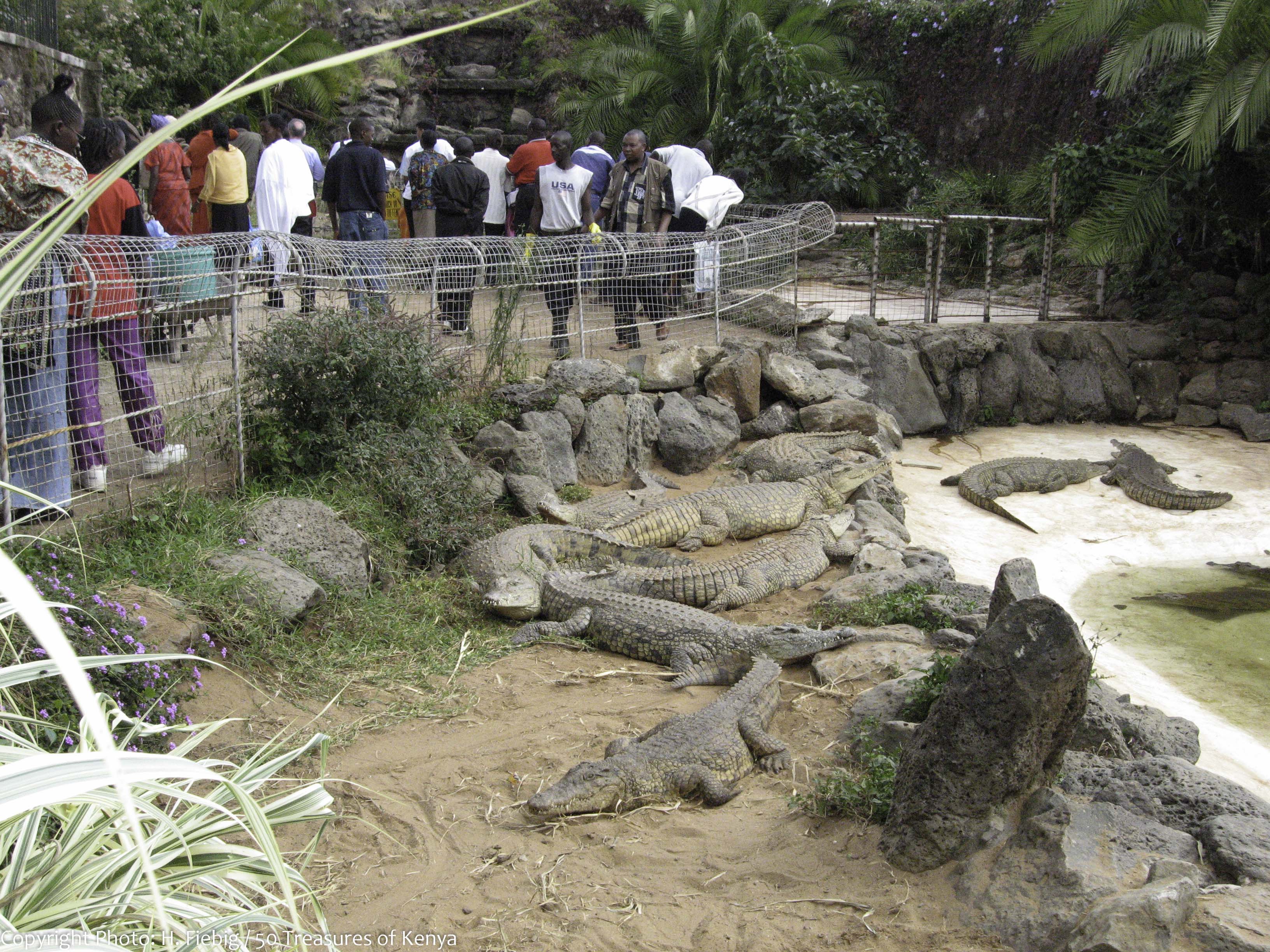 Top 10 Attractions In Nairobi To Visit Transit Hotels