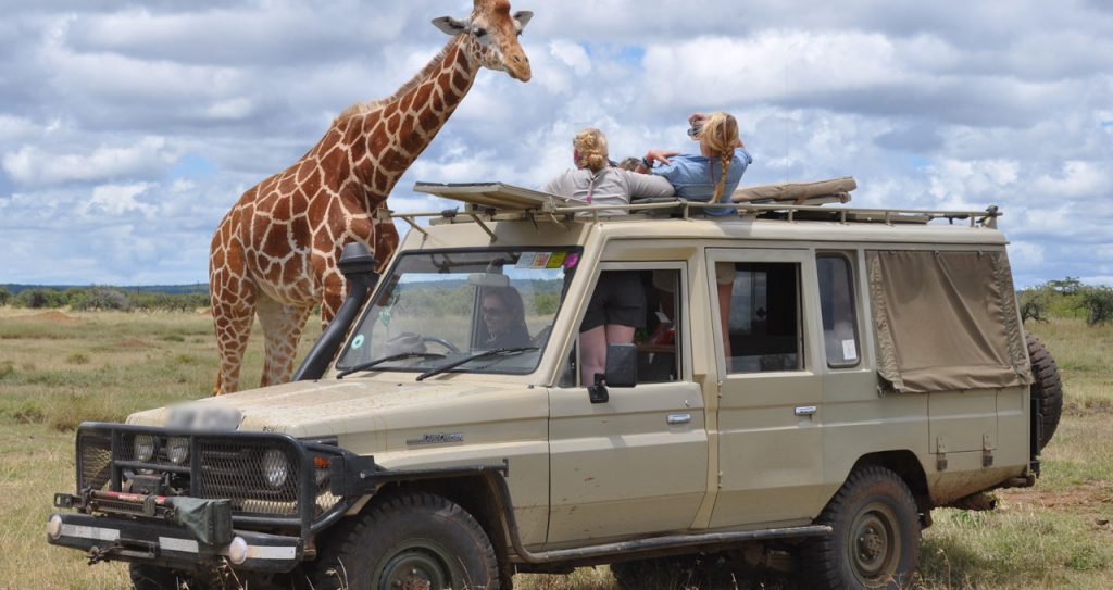 Visit Kenya Wildlife Parks