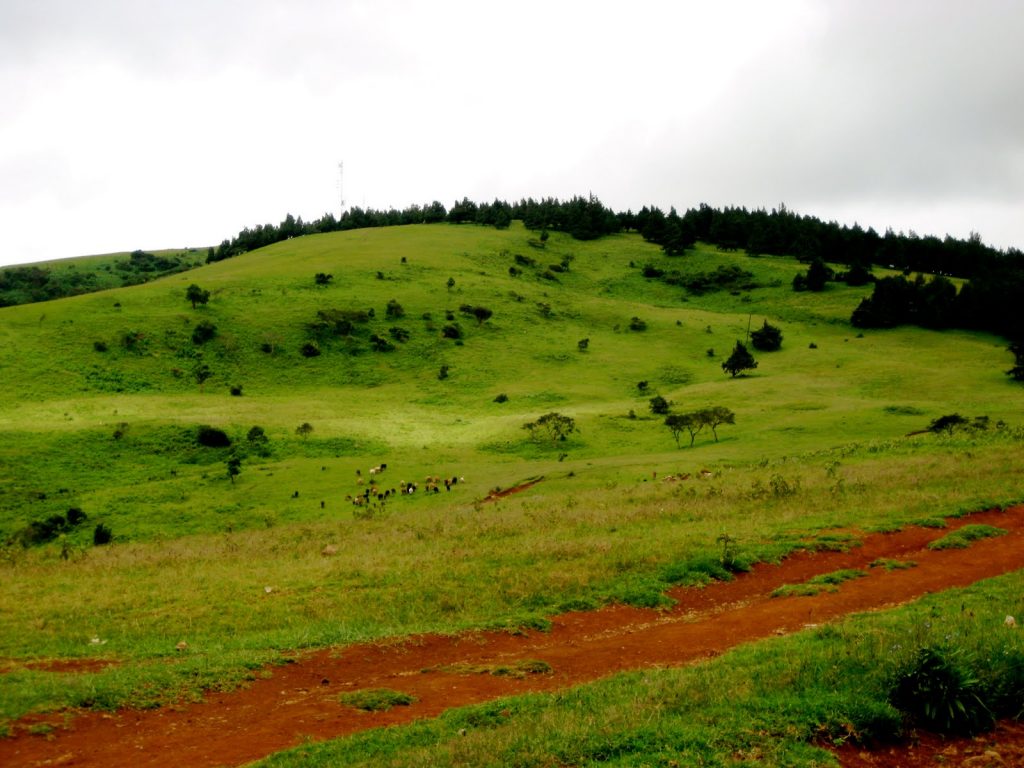 Kenya Fun Activities - Ngong Hills