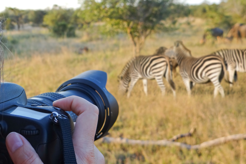 Camera for Safari In Kenya