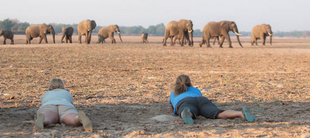 Photography Tips - African Safari