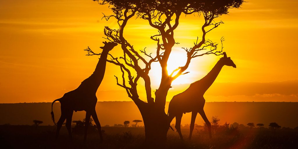 Top Fascinating Places to Visit in Kenya